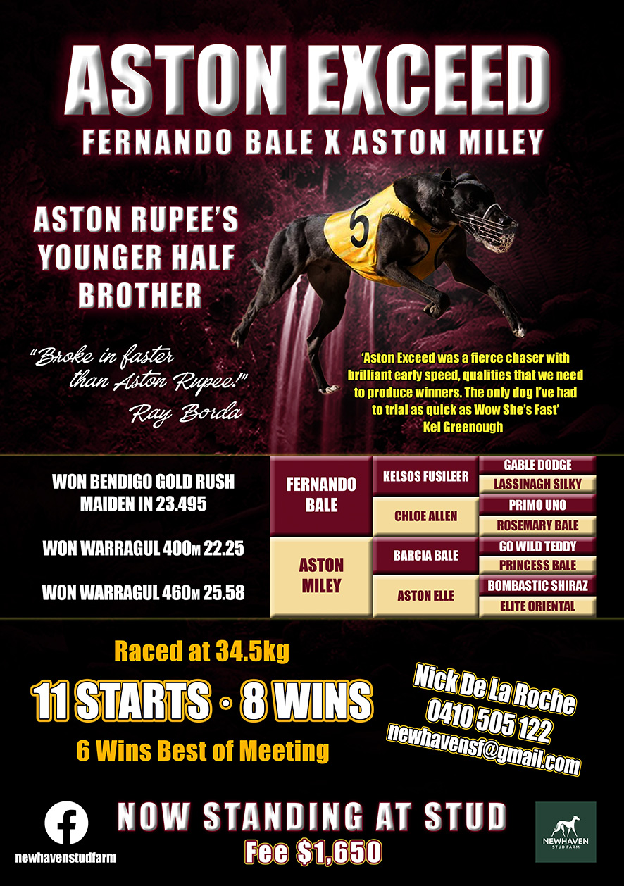 ASTON EXCEED - Fernando Bale X Aston Miley